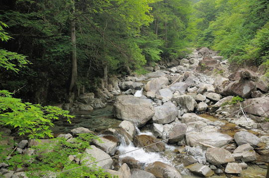 川上川