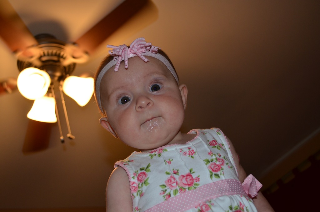 [DSC_4951%255B4%255D.jpg]