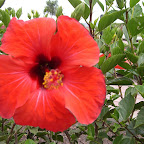 2006_07_21 -16-43 _051.JPG