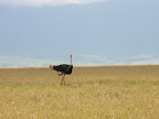 DSCN6817.JPG