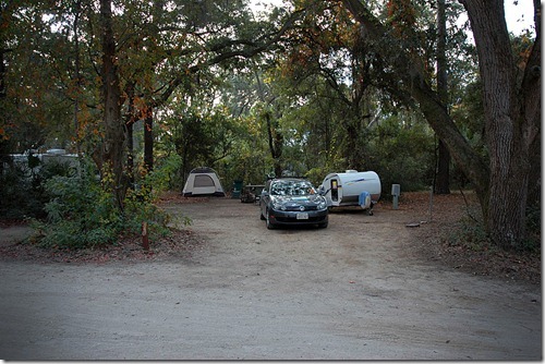 Edisto-Campsite