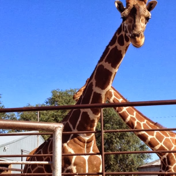 [2013-09-02_1378135651%255B3%255D.jpg]