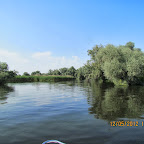 IMG_7804.JPG