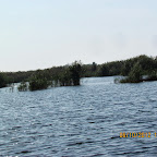 IMG_8004.JPG
