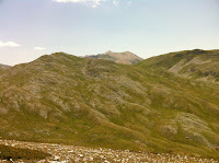 IMG_1463.JPG