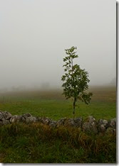 De la brûme, nous trouvons que c'est excellent pour les essais photographiques ! De la brûme, nous trouvons que c'est excellent pour les essais photographiques !