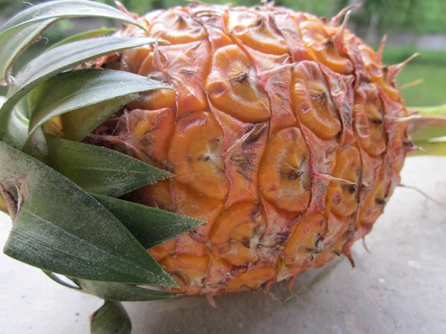 [streetfoodandfruit1004.jpg]
