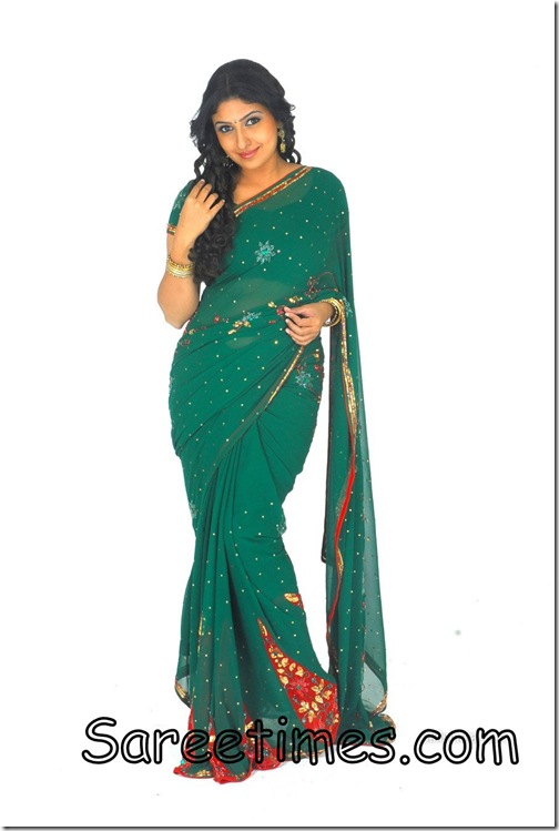 Monika_Green_Designer_Saree