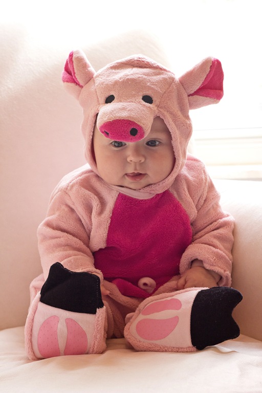 [Piggy-1edit%255B4%255D.jpg]