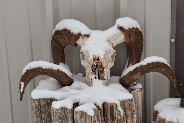 [IMG_4637%255B3%255D.jpg]