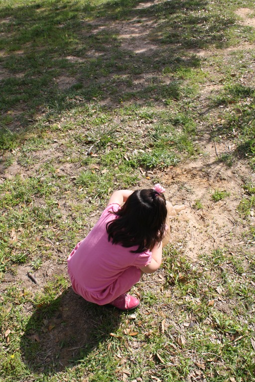 [IMG_4116%255B3%255D.jpg]