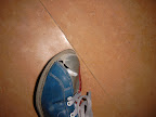 Quality Shoe