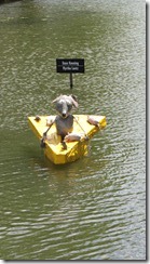 IMG_3882 IMG_3882