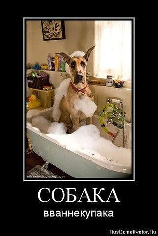 Как пользоваться photoshop cs и как рисовать школу