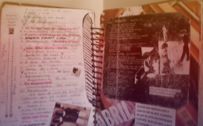 diario6 diario6