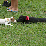 August 8, 2009 Deaf Gathering Picnic at Grottoes