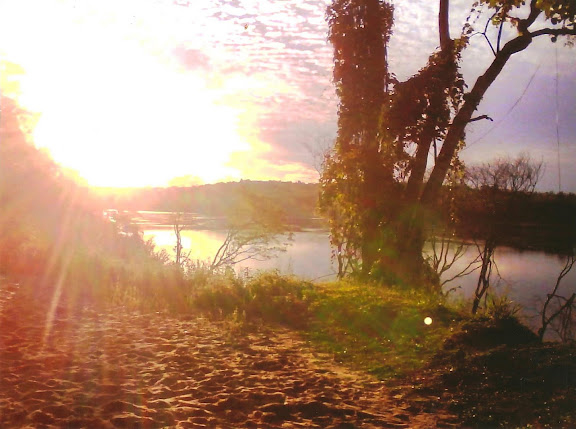 Atardecer en el Río - Autor: Alles, Gustavo Fernando