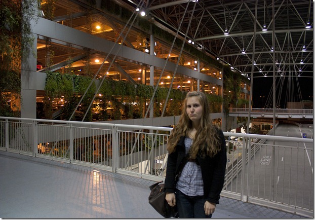 IMG_8916 IMG_8916