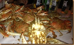20 crabs