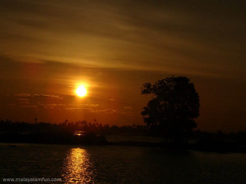 Oru Kuttanadan Yathra: The scenic view of Kerala(South India)