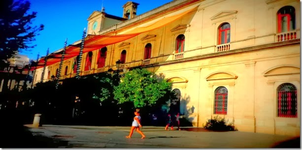 P1080691 P1080691