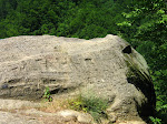IMG_4448.JPG