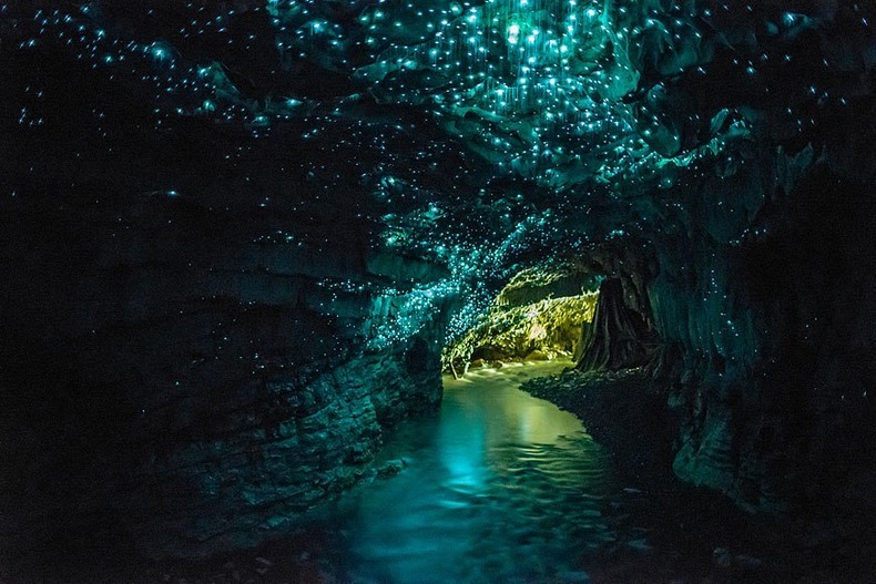 Пещера Светлячков. Новая Зеландия