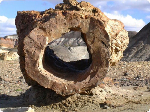 bosques-petrificados bosques-petrificados