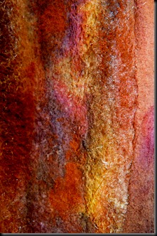 embellisher 002