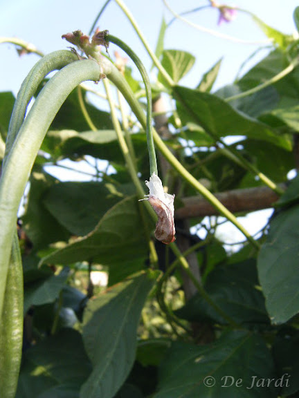 2012_09070018.jpg