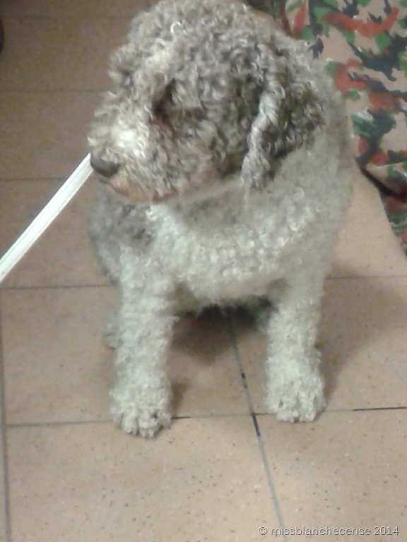 [20131226_1650315.jpg]