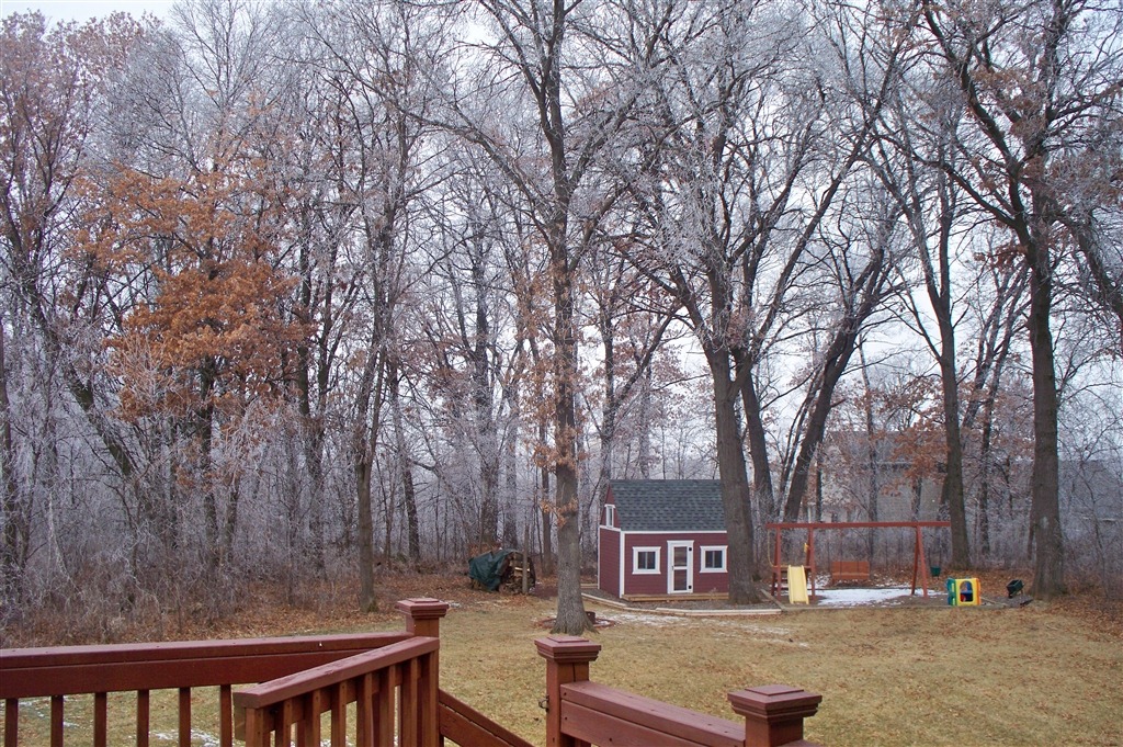 [Feb%2520Frost%255B4%255D.jpg]