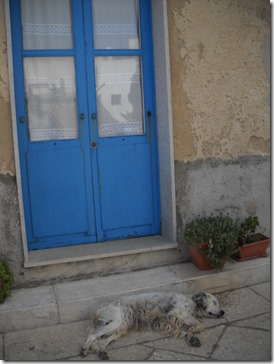 favignana 555 favignana 555