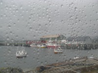IMG_5813 IMG_5813