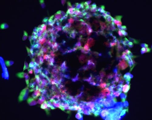 [notacion%2520cientifica%255B3%255D.jpg]