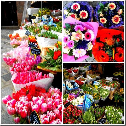 Flower stands in the spring markets