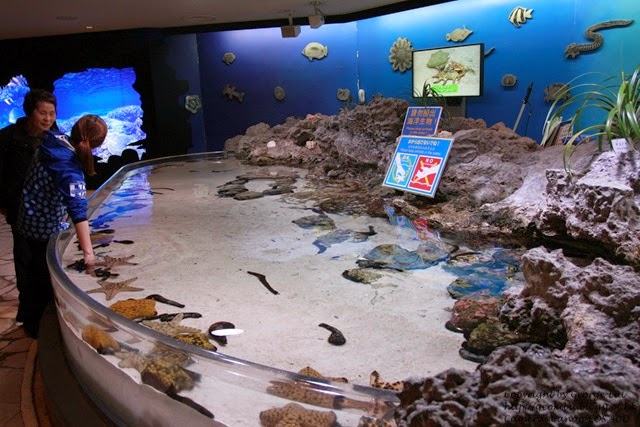 IMG_2964 IMG_2964