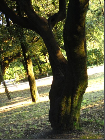 IMG_1153 IMG_1153