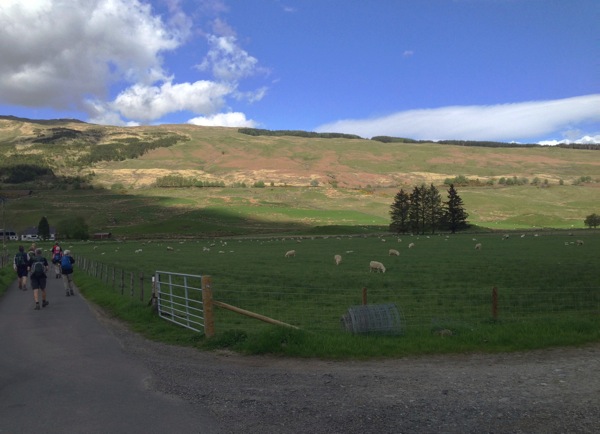 Into Kirkton Farm.jpg Into Kirkton Farm.jpg
