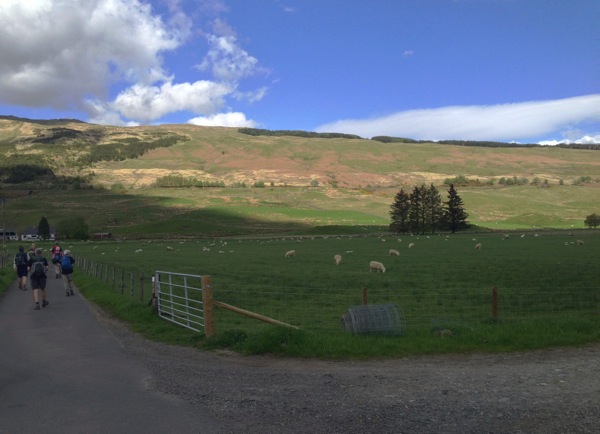 Into Kirkton Farm.jpg