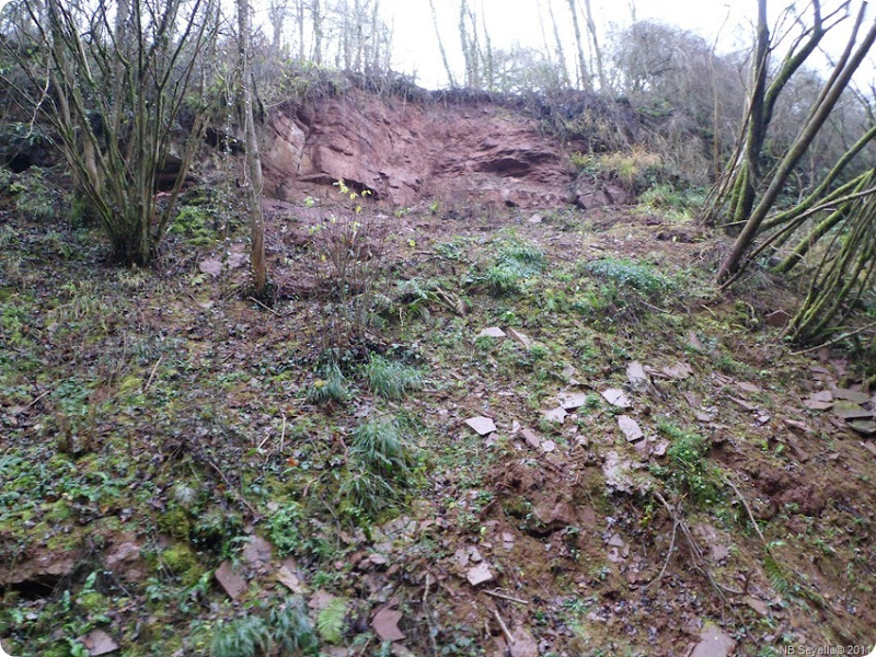 SAM_0013 Landslip, Woodseaves