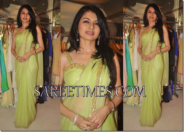 Bhagyashree_Green_Shimmer_Saree