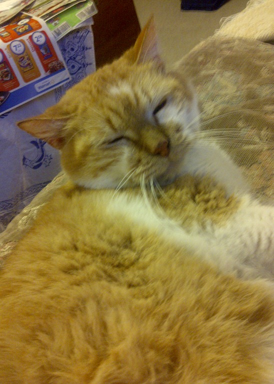 [IMG-20120308-00158%255B4%255D.jpg]