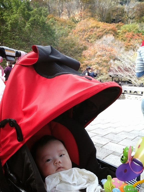 [2013-12-08%252012.34.28%255B4%255D.jpg]