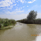 IMG_5747.JPG