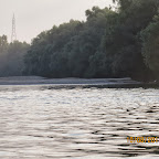 IMG_6468.JPG