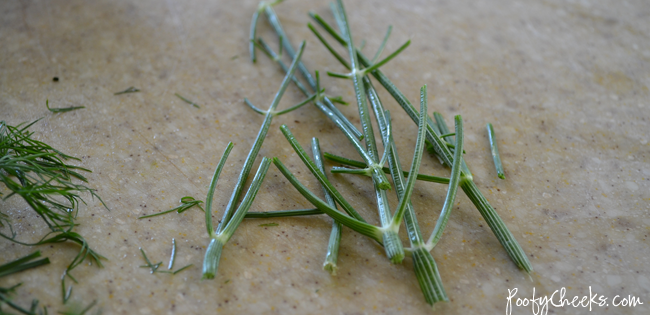 Dill Ice Cubes by Poofy Cheeks