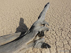 Death Vlei