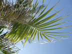Thai-Bamboo Guesthouse Resort Slideshow