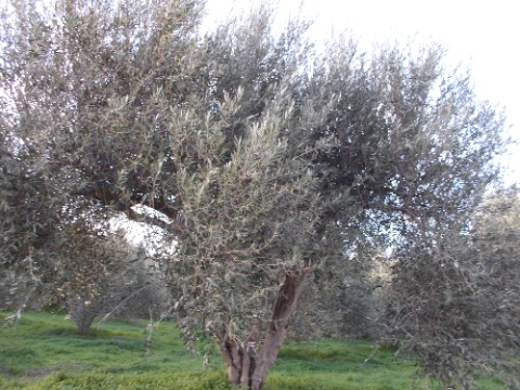 DSCN0304.jpg DSCN0304